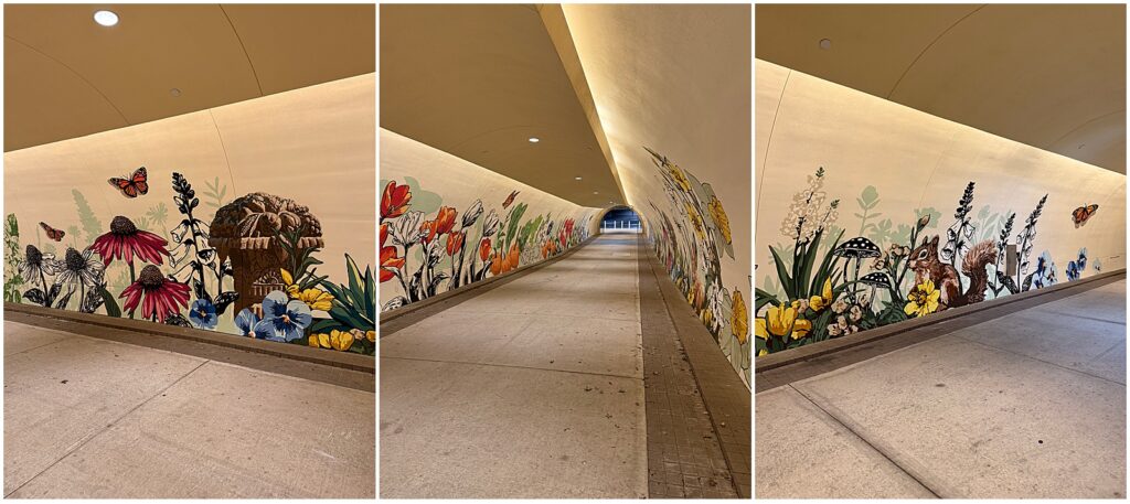 A mural in Dallas at the Arboretum & Botanical Garden by Alli K Design