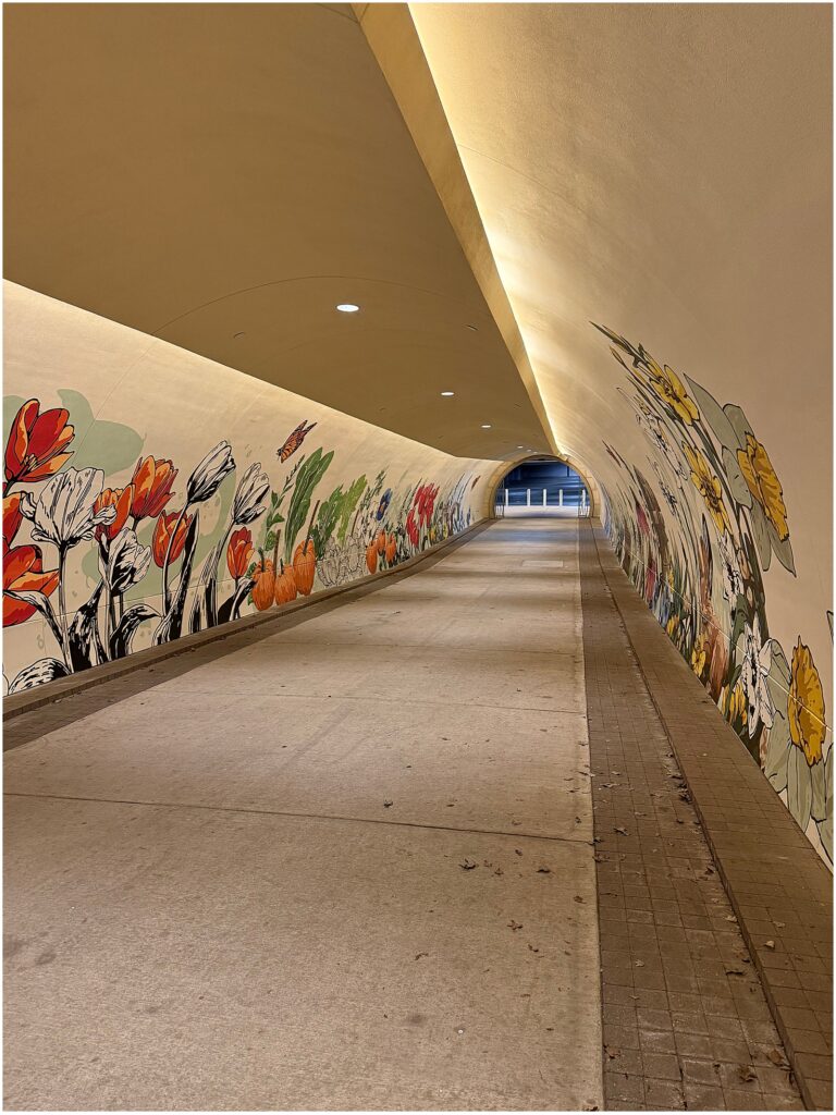 A mural in a pedestrian tunnel by Alli Koch, Texas muralist