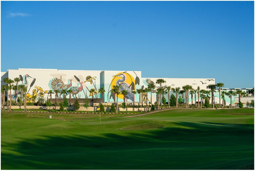 A commercial mural in Orlando, FL painted by Alli K Design