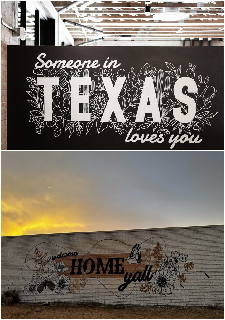 Commercial murals for businesses in Dallas, Texas painted by Alli K Design